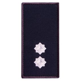 Шеврон IDEIA 87461 Україна 5*10  Габардин Синій