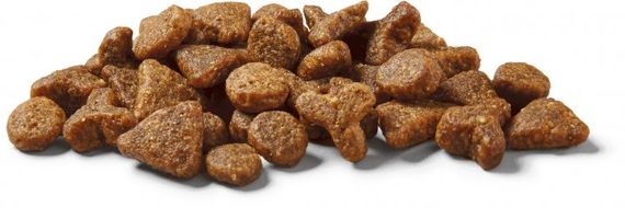 Корм Nutram T22 Total Grain-Free Turkey, Chicken & Duck Cat сухой с индейкой, курицей и уткой для котов 20 кг | Зображення 1