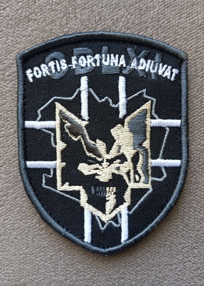 Шеврон CDLXI FORTIS FORTUNA ADIUVAT | Зображення 1