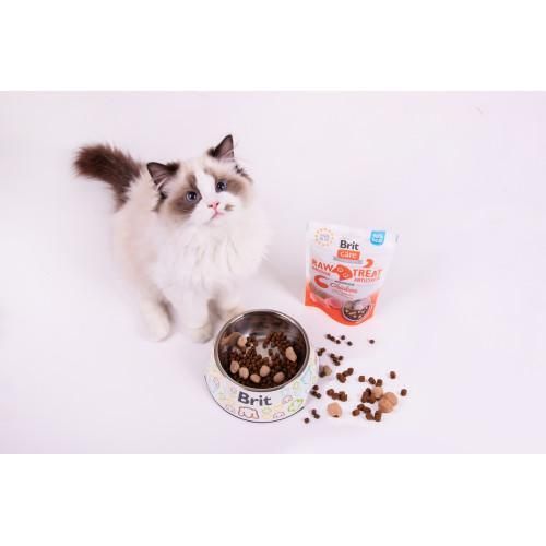 Ласощі для кішок Brit Raw Treat Indoor & Antistress Freeze-dried з куркою, 40 г | Зображення 2