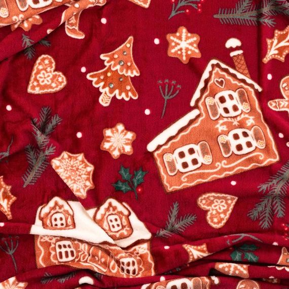 Плед Ardesto Christmas Flannel Імбирні будиночки ART0121PB 160х200 см | Зображення 1