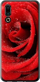 Чехол на Meizu 16S Красная роза "529u-1701-17620"