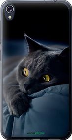 Чохол на Asus ZENFONE Live ZB501KL Димчастий кіт "825u-1128-2448"