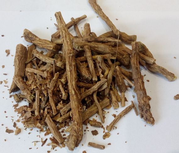 Шоломниця байкальська, 1кг.