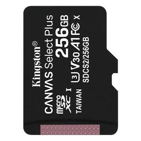 Карта памяти Kingston 256GB microSDXC C10 UHS-I R100/W85MB/s (SDCS2/256GBSP)