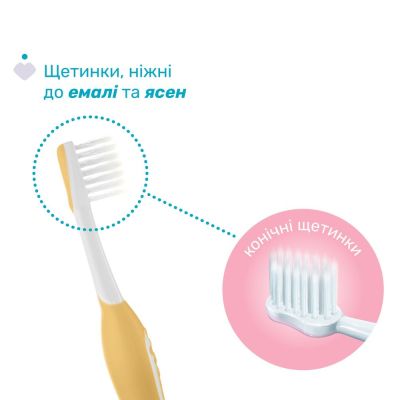 Дитяча зубна щітка Chicco 6-36 міс., 2 шт. бузково/жовта (8058664174706) (12082.00) | Зображення 1