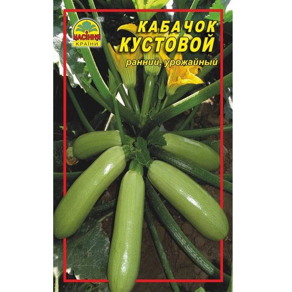 Насіння кабачок Кущовий — 10 г