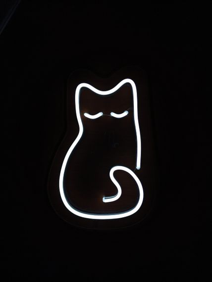 Неоновий світильник Кішка 200х300 acr-n000001 | Зображення 2