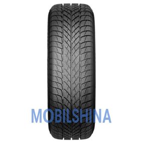 Зимние шины PAXARO INVERNO (195/55R16 87H)