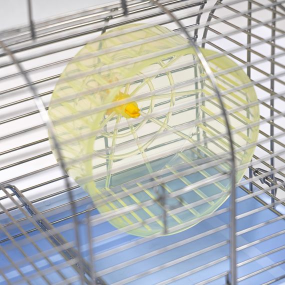 Клітка Природа Фаворит для джунгарських хом’яків і мишей з колесом хром/блакитна 30x20x24 см | Зображення 2