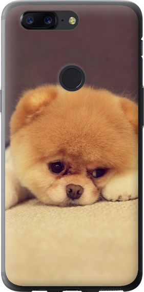 Чехол на OnePlus 5T Boo 2 "890u-1352-17620"