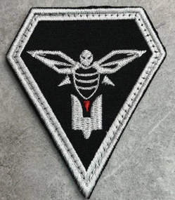 Шеврон ССО (може відрізнятися від того що зображено на фото)