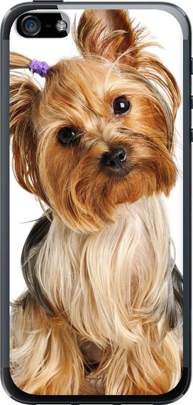Чехол на iPhone 5s Йоркширский терьер с хвостиком "930u-21-17620"