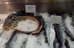 Металевий цінникотримач, 160 мм