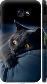 Чохол на Samsung Galaxy A7 (2017) Димчастий кіт "825m-445-2448"