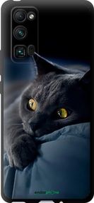 Чохол на Huawei Honor 30 Pro Димчастий кіт "825b-1920-2448"