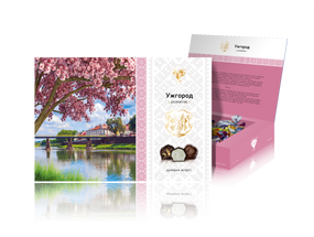 Набір цукерок Ужгород АМЕТИСТ ПЛЮС художня коробка (213679)