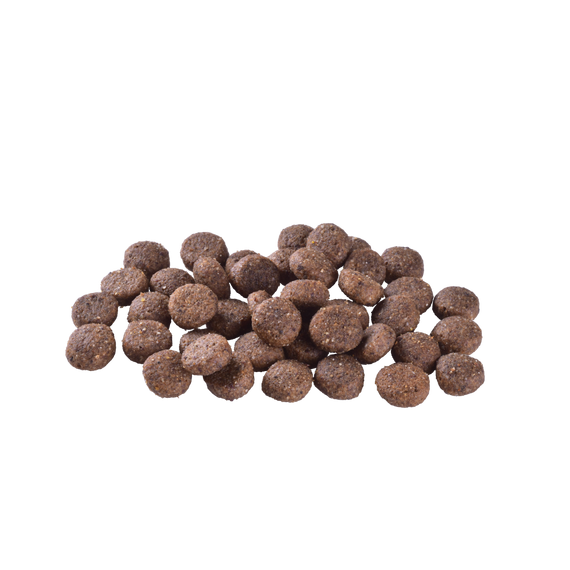 Корм сухий Brit Care Dog Grain-free Adult для дорослих собак малих і середніх порід беззерновий з лососем 1 кг | Зображення 1