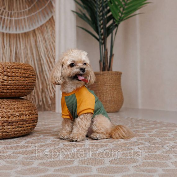 Футболка для собак Pet Fashion Kent XS2 оливковая — летняя хлопковая одежда без застежек | Зображення 2