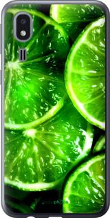 Чохол на Samsung Galaxy A2 Core A260F Зелені часточки лимона "852u-1683-2448"