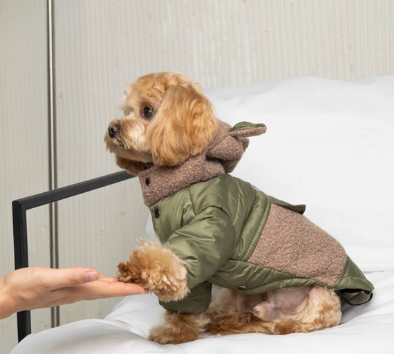 Куртка Teddy хакі K-80 | Зображення 1