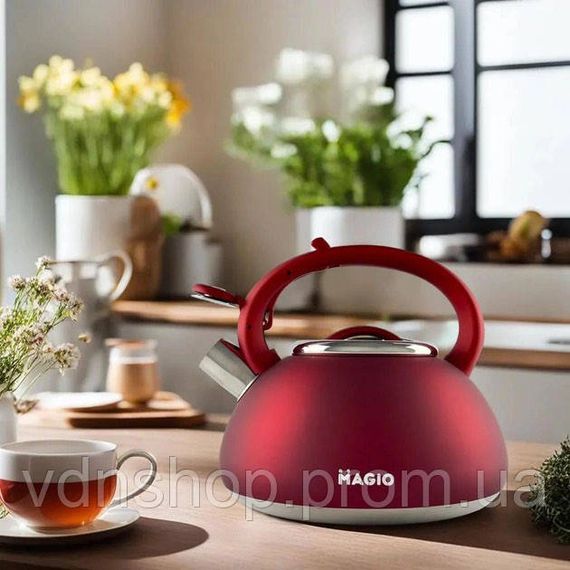 Чайник з нержавіючої сталі якісний, Чайник для газових плит Якісний металевий DX-29 | Зображення 5