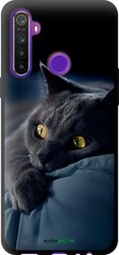 Чохол на Realme 6i Димчастий кіт "825b-2059-2448"