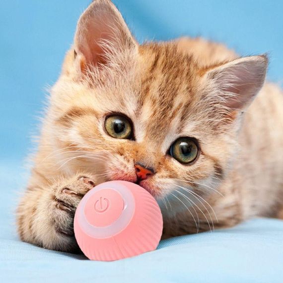 Интерактивный мячик для кота с USB, PetGravity, Розовый / Смарт игрушка с хаотическим движением и подсветкой | Зображення 1