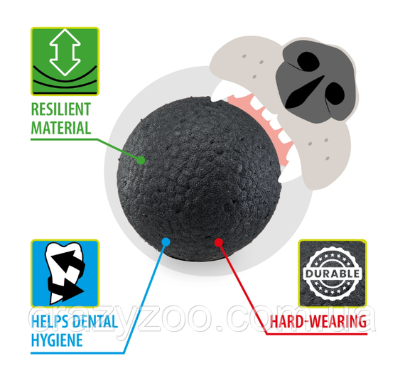 Іграшка для собак Ferplast Chewa Boing Medium Ball ø 6.3 см чорний 86622799 | Зображення 4