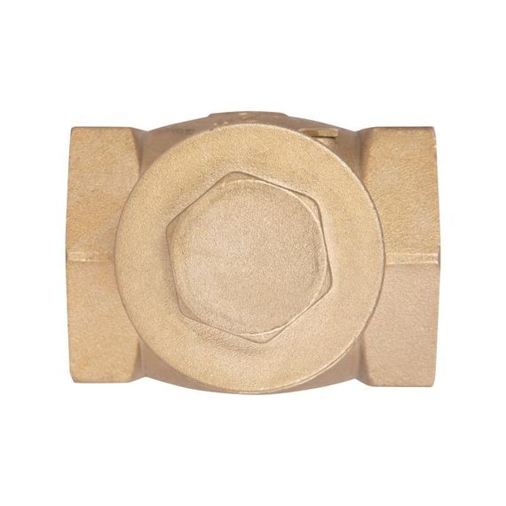 Зворотний клапан Thermo Alliance Standart 2" SD242W50 | Зображення 4