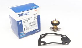 Термостат Citroen Jumper Fiat Ducato Peugeot Boxer 3.0HDI 06- TX 266 79D