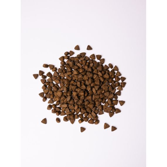 Корм сухий Savory All Breed Sterilised rich in Fresh Turkey для стерилізованих собак усіх порід зі свіжою індичкою 1 кг | Зображення 1