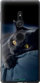 Чохол на Sony Xperia XZ2 H8266 Димчастий кіт "825u-1378-2448"
