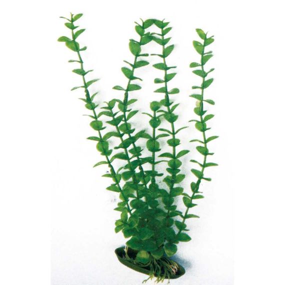 Рослина в акваріум 18 см штучна Croci ROTALA CLASSIC MD