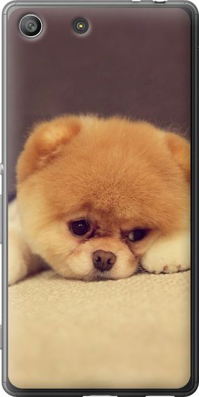 Чехол на Sony Xperia M5 E5633 Boo 2 "890u-217-17620"