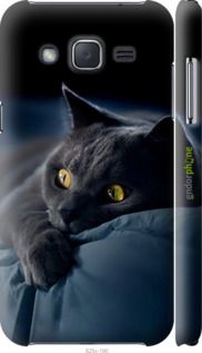 Чохол на Samsung Galaxy J2 J200H Димчастий кіт "825m-190-2448"