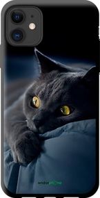 Чохол на iPhone 11 Димчастий кіт "825b-1722-2448"