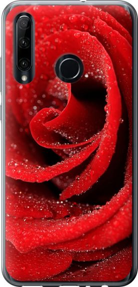Чехол на Huawei Honor 20 Lite Красная роза "529u-1832-17620"