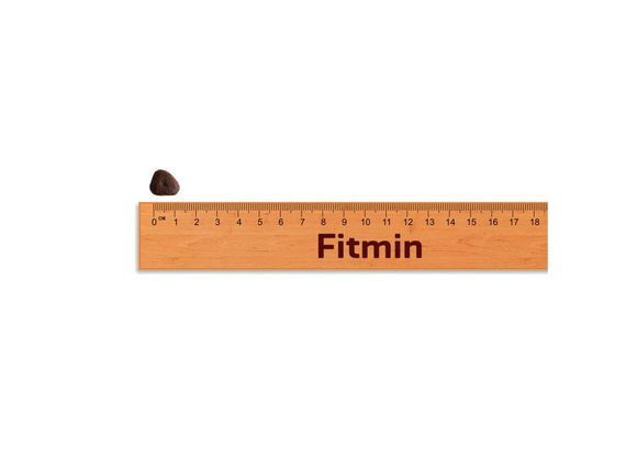 Fitmin dog Purity GF Puppy Fish (для цуценят всіх порід з рибою беззерновий), 2 кг | Зображення 2