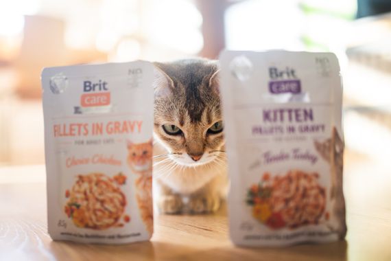 Вологий корм для кошенят з індичкою та куркою Brit Care Cat Fillets In Gravy, 85 гр | Зображення 2