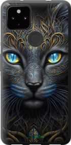 Чохол на Google Pixel 5A Кішка "5548t-2286-2448"