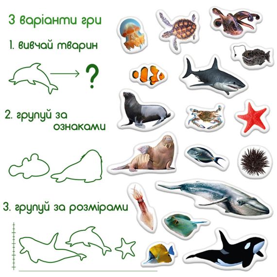 Детский набор магнитов Морские обитатели фото ML4031-28 EN | Зображення 4