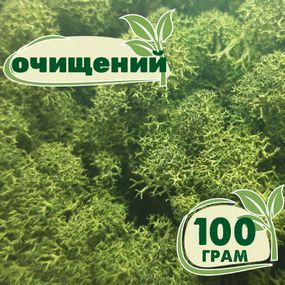 Очищений стабілізований мох ягель Зелений темний 100 грам