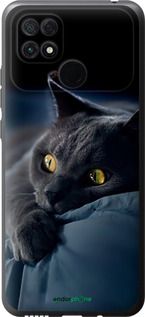 Чохол на Xiaomi Poco C40 Димчастий кіт "825u-2701-2448"