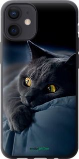 Чохол на iPhone 12 Mini Димчастий кіт "825t-2071-2448"