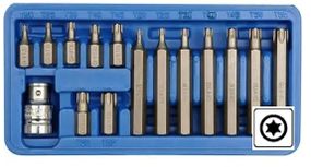 Набір насадки біти TORX 1/2" T20-T55 30мм/75мм 15 штук VOREL-66580