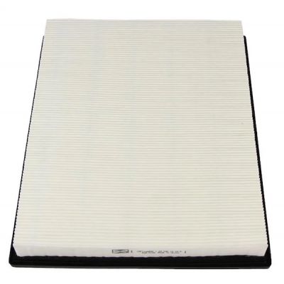 Воздушный фильтр для автомобиля Champion CAF100689P