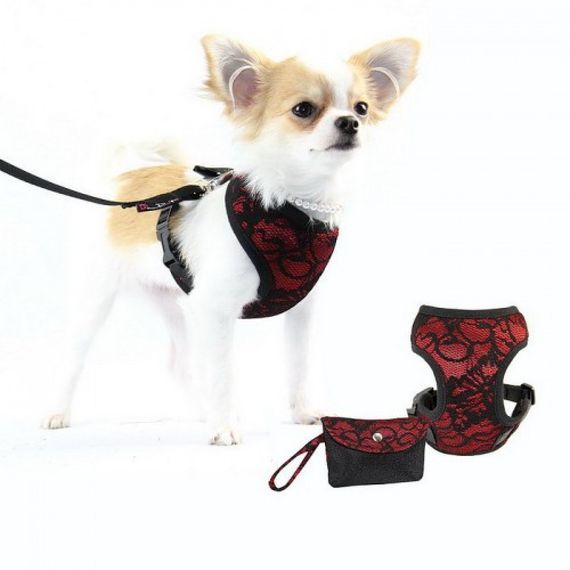 Шлея для собак Pretty Pet тканевая с кружевом, нейлоновые ремешки, с поводком, Fancy Lace красный | Зображення 1