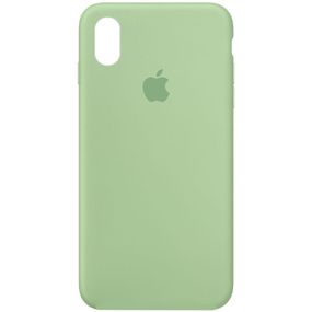 Чехол Silicone Case Full Protective (AA) для Apple iPhone X / XS (5.8") Зеленый / Pistachio