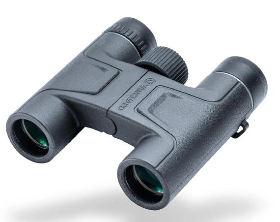 Бінокль Vanguard Vesta 8x25 WP (Vesta 8250) (DAS301007)